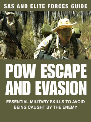 cover image of POW Escape and Evasion